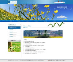 蜂業股份與漢沙科技攜手 食品酒業網站設計與重慶優化的戰略布局